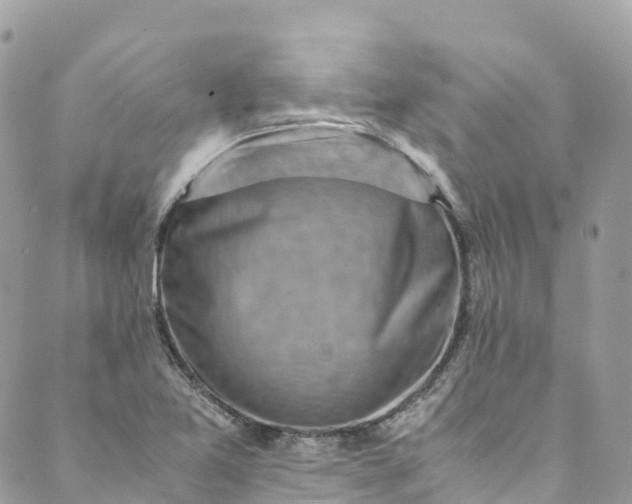 X0000089431365200706291303