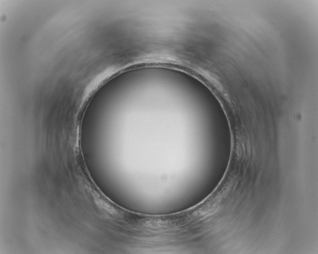 X0000089431366200706291303