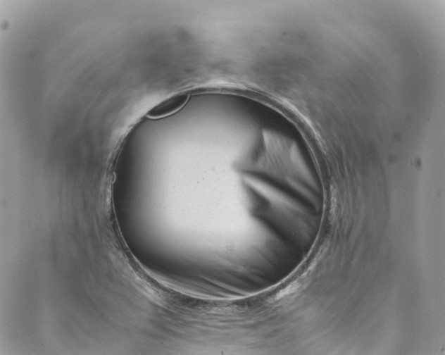 X0000089431367200706291303