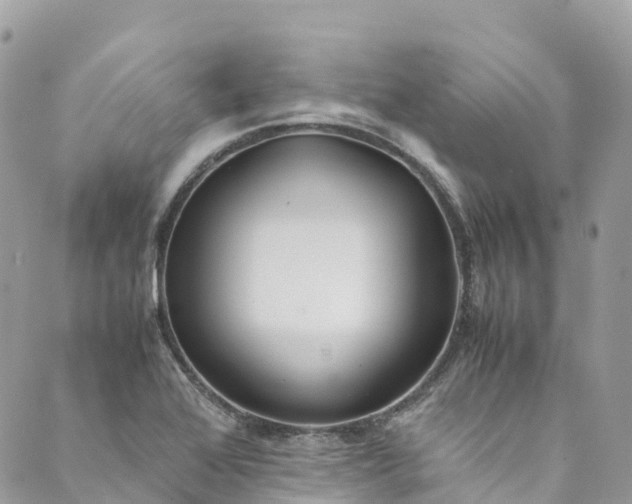 X0000089431368200706291303