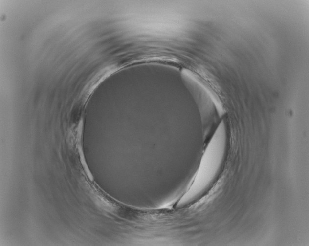 X0000089431369200706291303