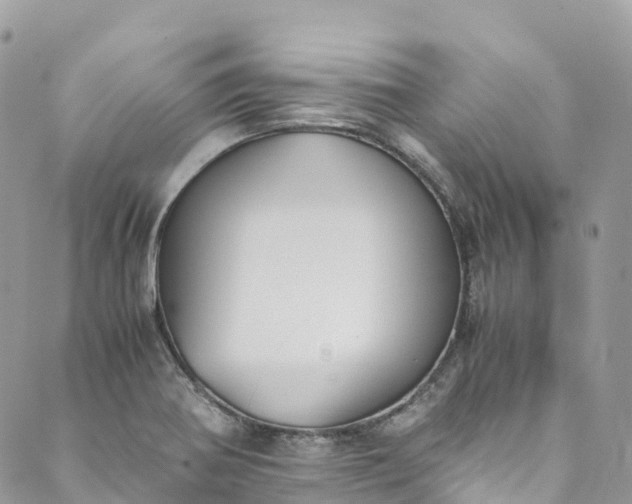 X0000089431370200706291303