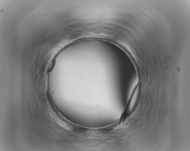 X0000089431371200706291303