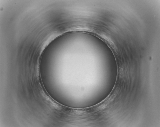 X0000089431374200706291303