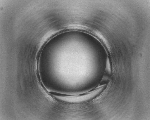 X0000089431376200706291303