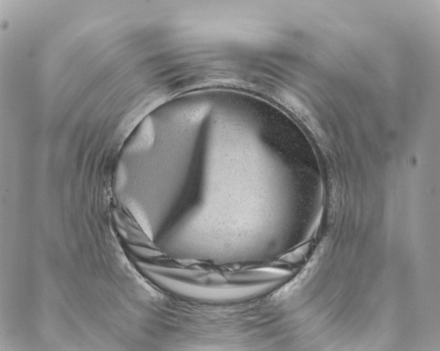 X0000089431377200706291303