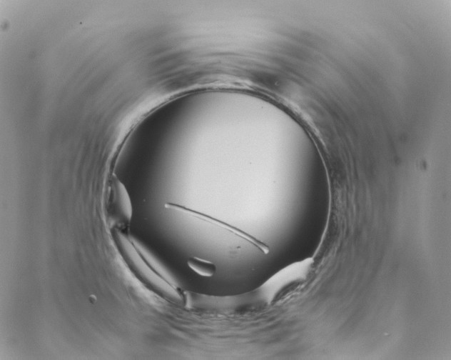 X0000089431379200706291303