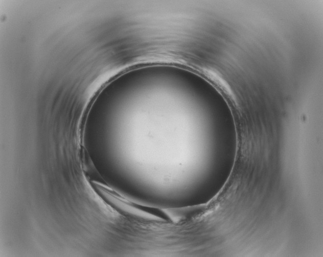 X0000089431380200706291303