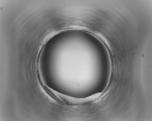 X0000089431381200706291303