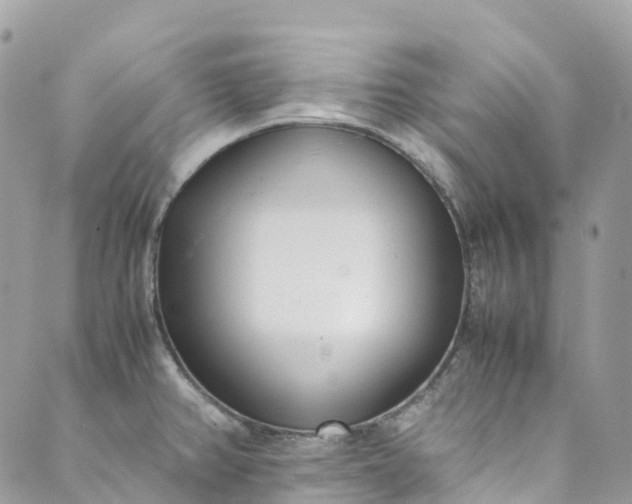 X0000089431382200706291303