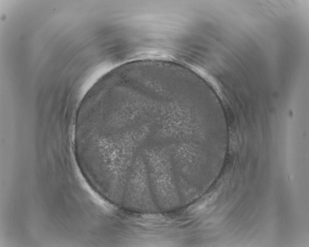 X0000089431383200706291303