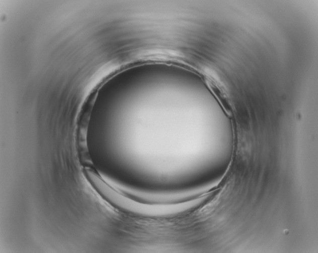 X0000089431384200706291303