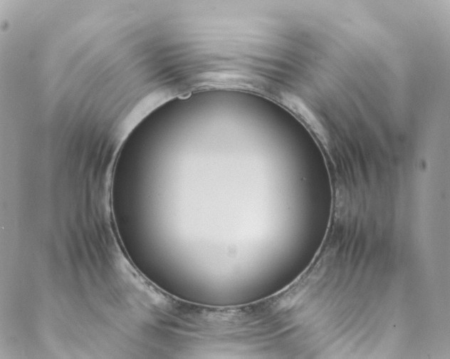 X0000089431386200706291303