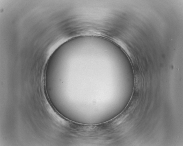 X0000089431387200706291303