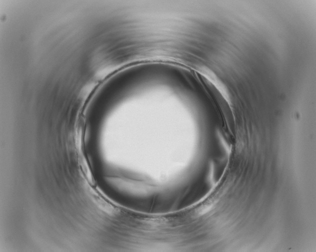 X0000089431388200706291303