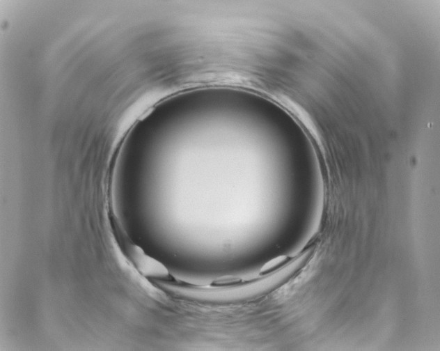 X0000089431389200706291303