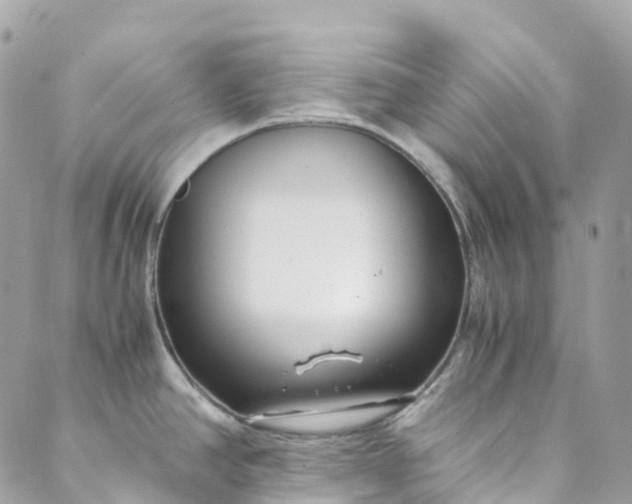 X0000089431390200706291303