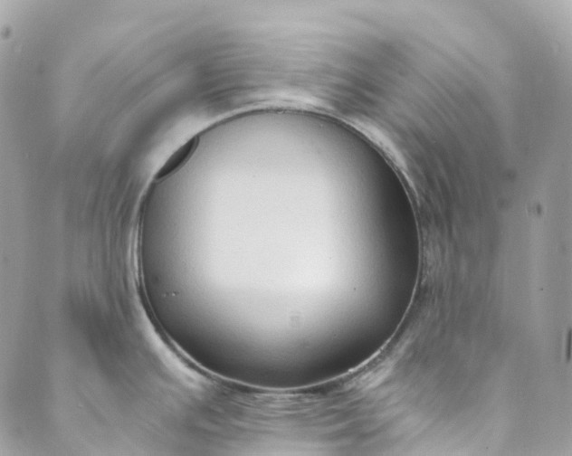 X0000089431391200706291303