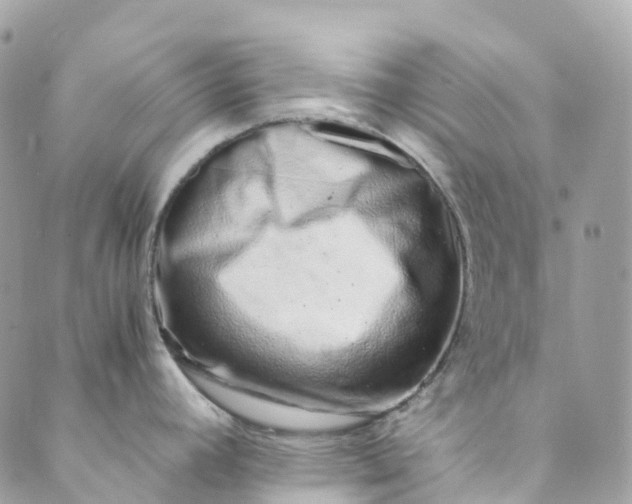 X0000089431392200706291303