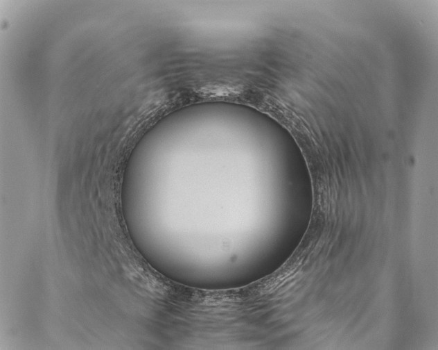 X0000089431393200706291302