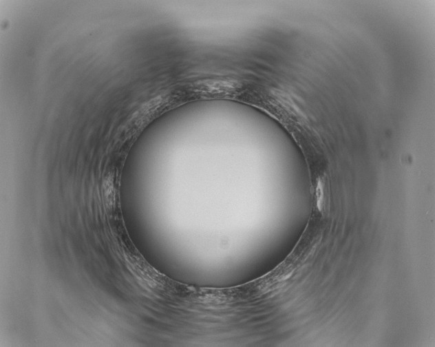 X0000089431395200706291302