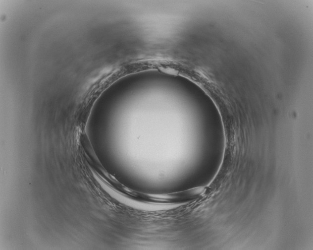 X0000089431398200706291302