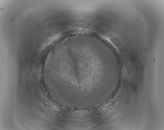 X0000089431399200706291302