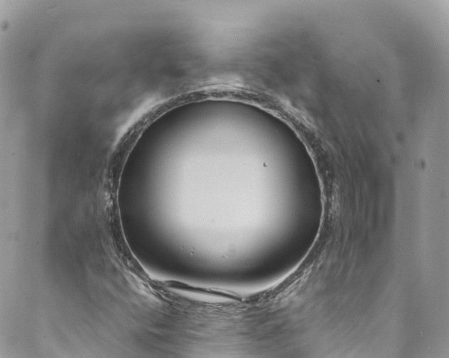 X0000089431400200706291302