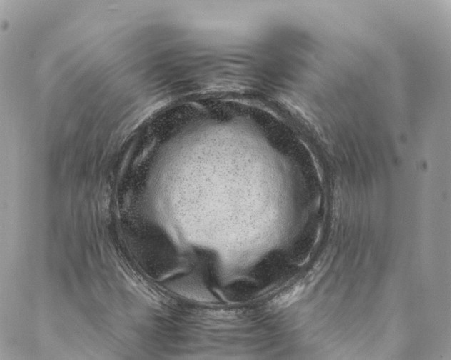 X0000089431401200706291302