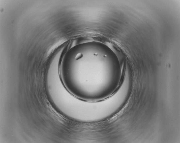 X0000089431402200706291302