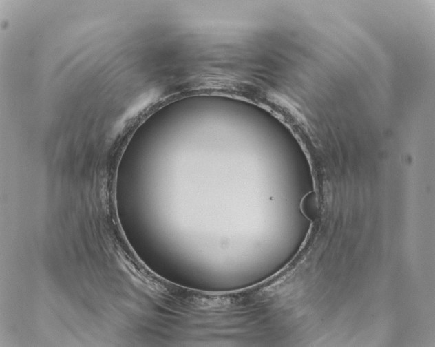 X0000089431403200706291302