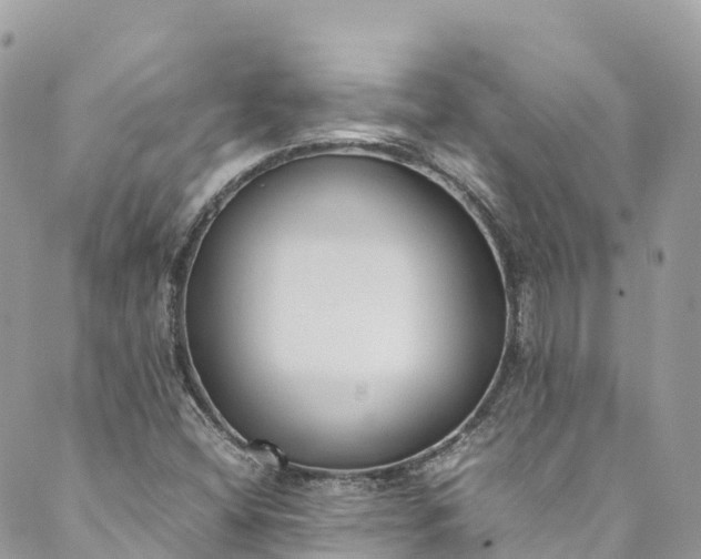 X0000089431404200706291302