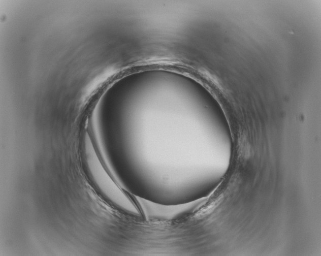 X0000089431406200706291302