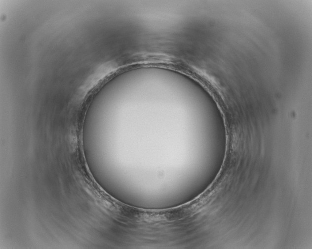 X0000089431407200706291303