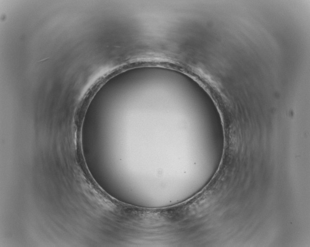 X0000089431408200706291303