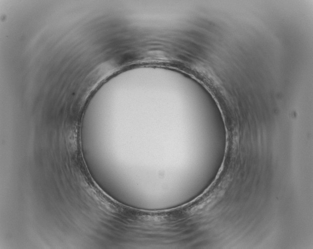 X0000089431409200706291303