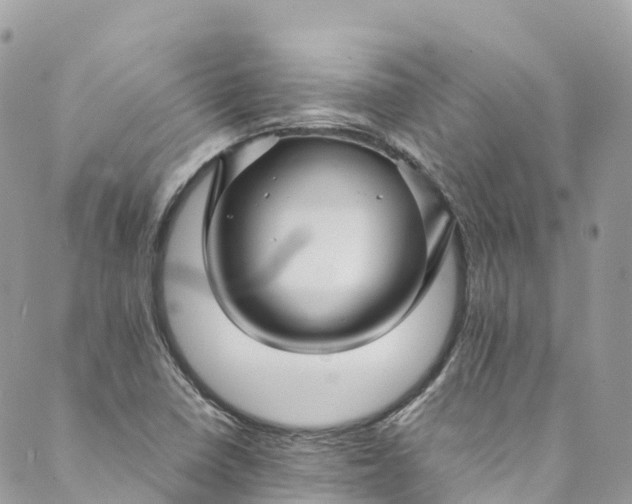 X0000089431410200706291303