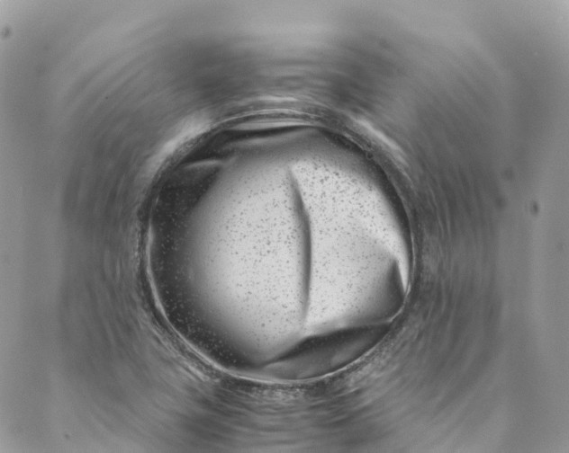 X0000089431411200706291303