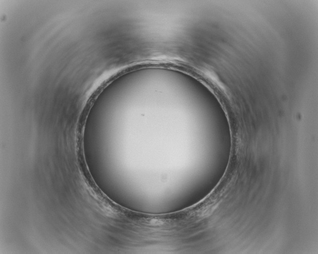 X0000089431412200706291303