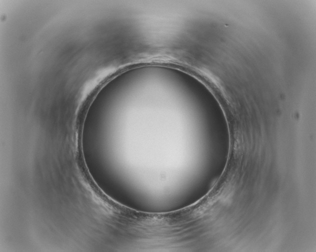 X0000089431414200706291303