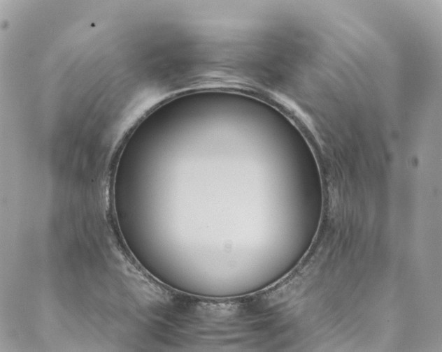 X0000089431415200706291303