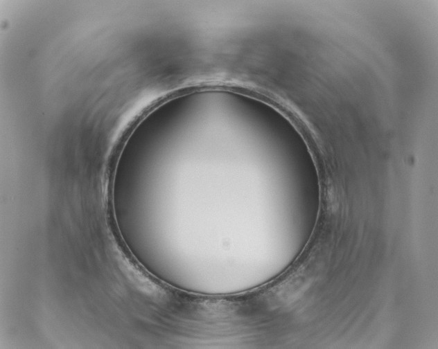 X0000089431416200706291303