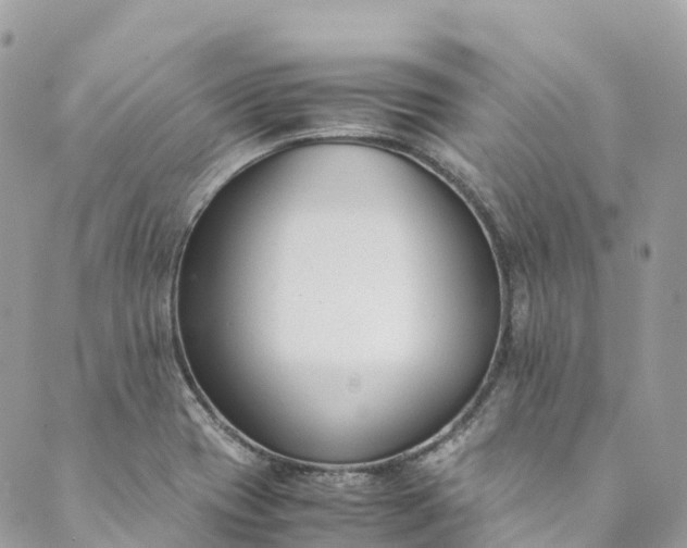 X0000089431417200706291303