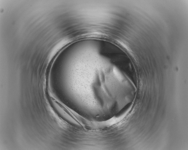 X0000089431418200706291303