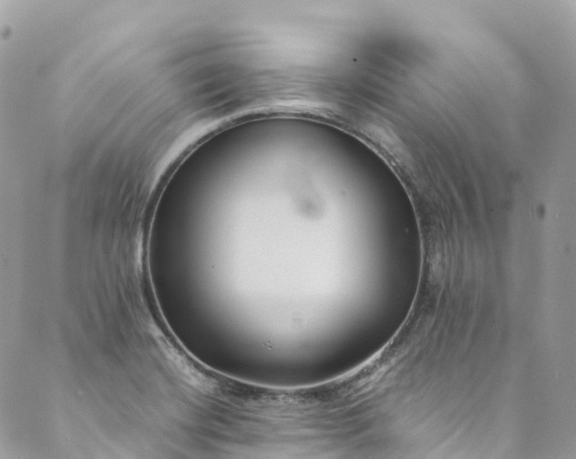 X0000089431420200706291303