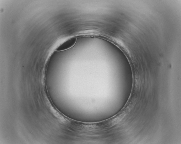 X0000089431421200706291303