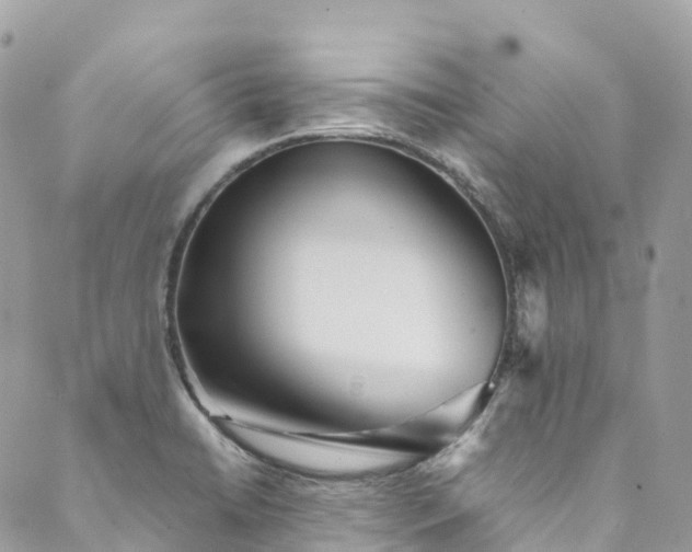 X0000089431422200706291303