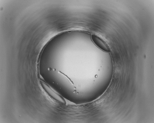 X0000089431423200706291303