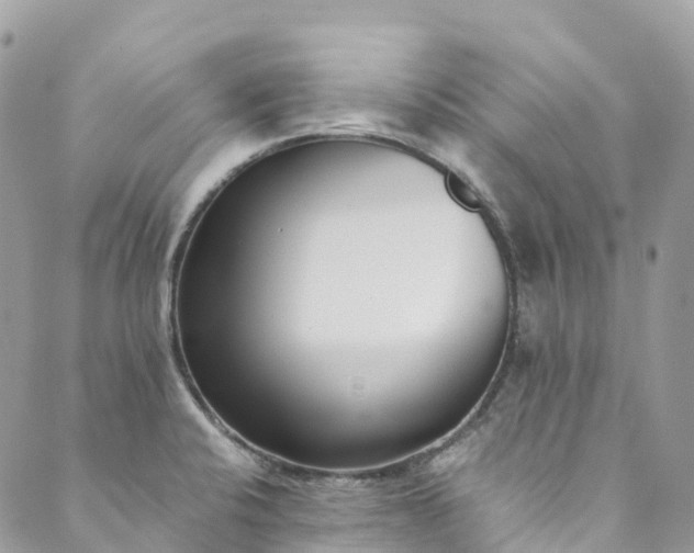 X0000089431424200706291303