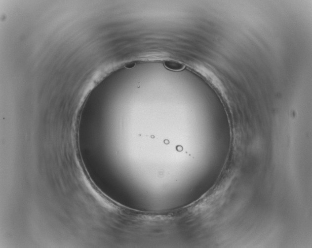 X0000089431429200706291303